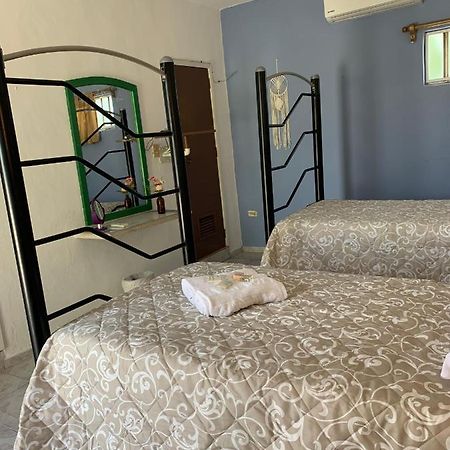 Casa Centro 70 Hotel Mérida Kültér fotó