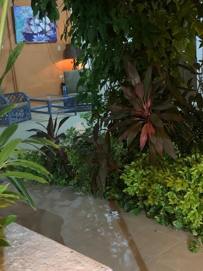 Casa Centro 70 Hotel Mérida Kültér fotó